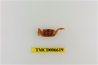 藏品(萬歲大眼蟹)的圖片